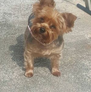 Meet your Posher, Cheryl